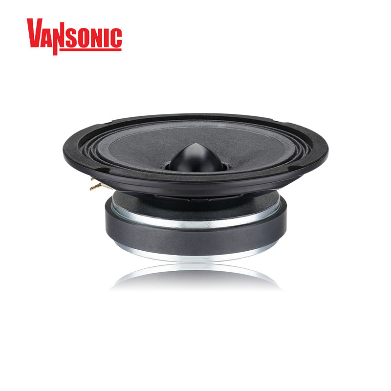 Car Audio Ferrite Midrange Speaker